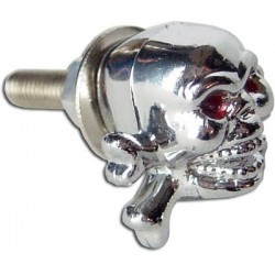 Tornillo Placa Calavera