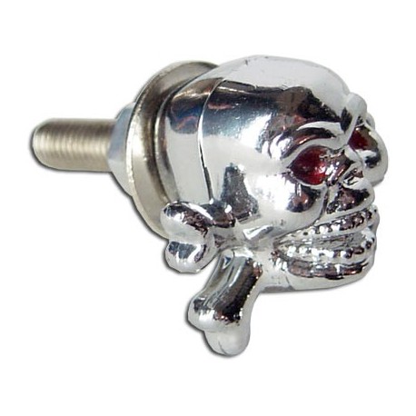 Tornillo Placa Calavera