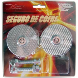 Seguro Cofre con Chapa