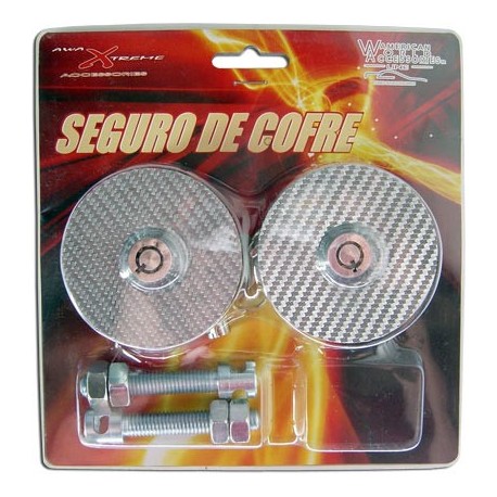 Seguro Cofre con Chapa