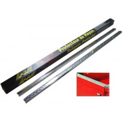 Protector Puerta Trasera