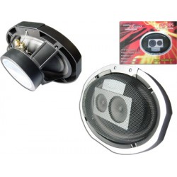 Bocina 3 Vías 6" x 9"