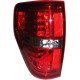 Calavera Ford 2009-2010 Cromada LED