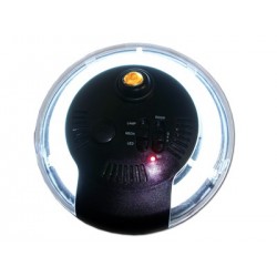 Lámpara Interior Neón Blanca