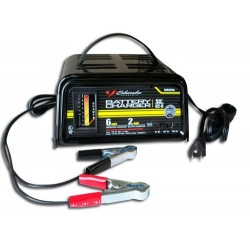 Cargador de Batería 6/12V