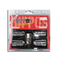 Juego de Seguro de Rin