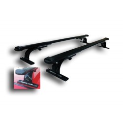 Barras Gemelas Porta Equipaje
