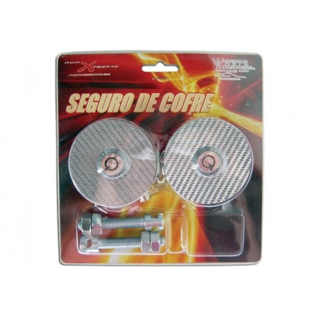 Seguro de Cofre con Chapa