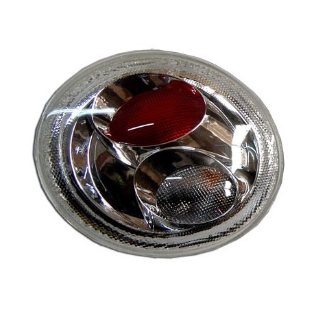 Calavera Altesa Beetle